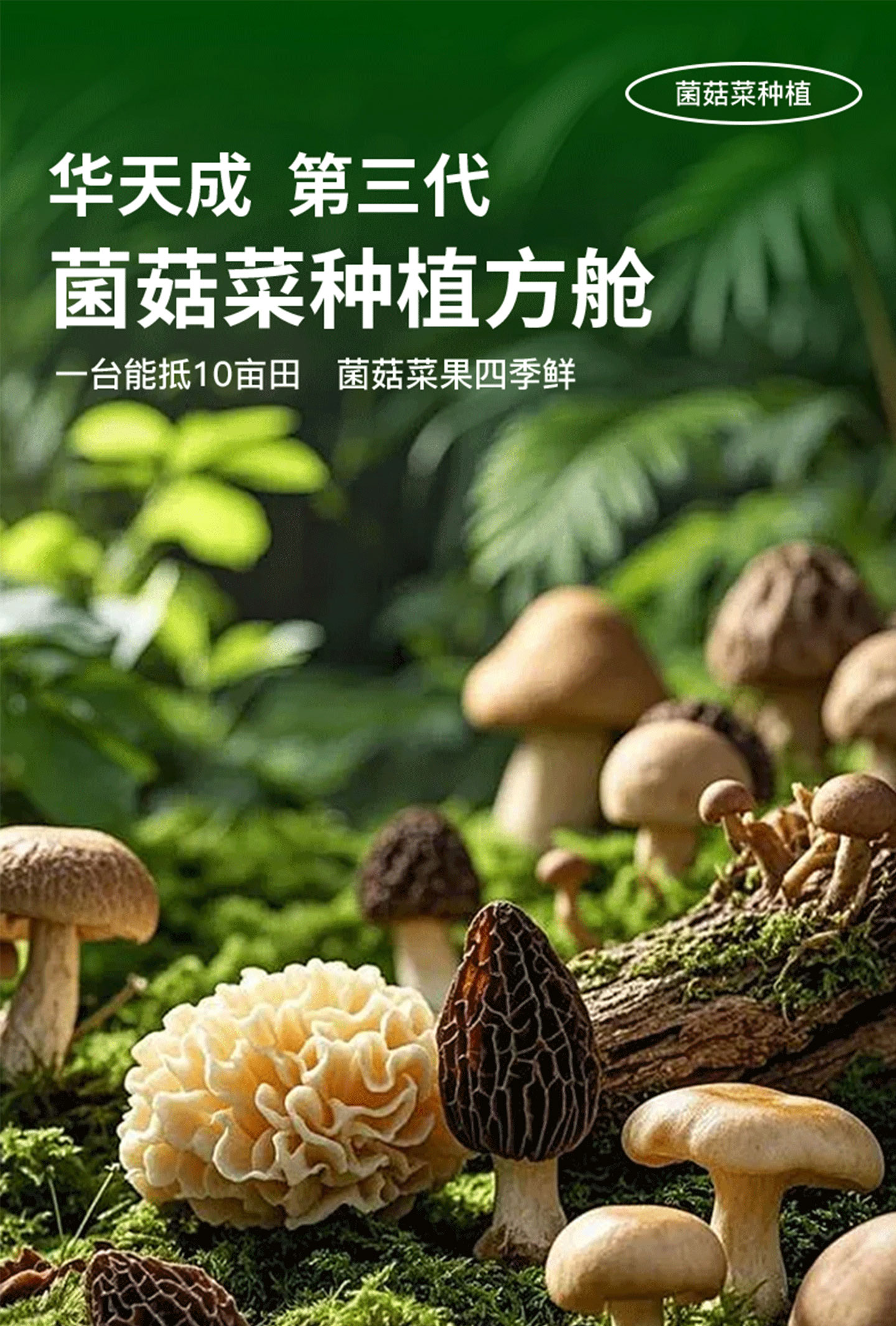 菌菇菜種植方(fang)艙